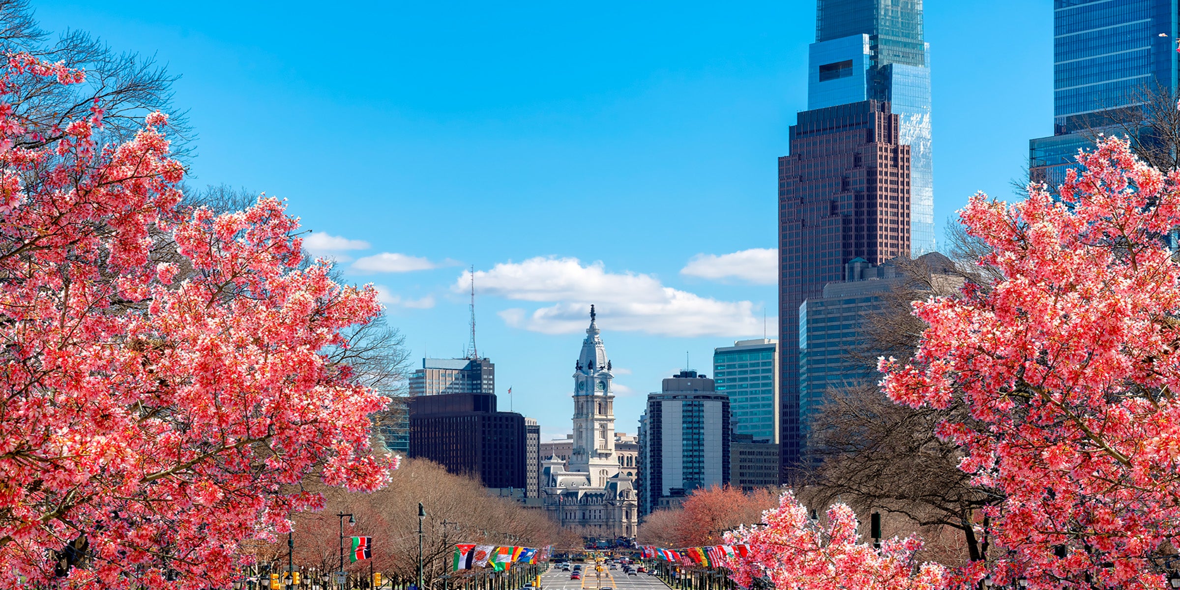 alta_2400x1200_7d331767 6135 4650 8aec b65d2148a9f9 alta_2400x1200_7d331767 6135 4650 8aec b65d2148a9f9