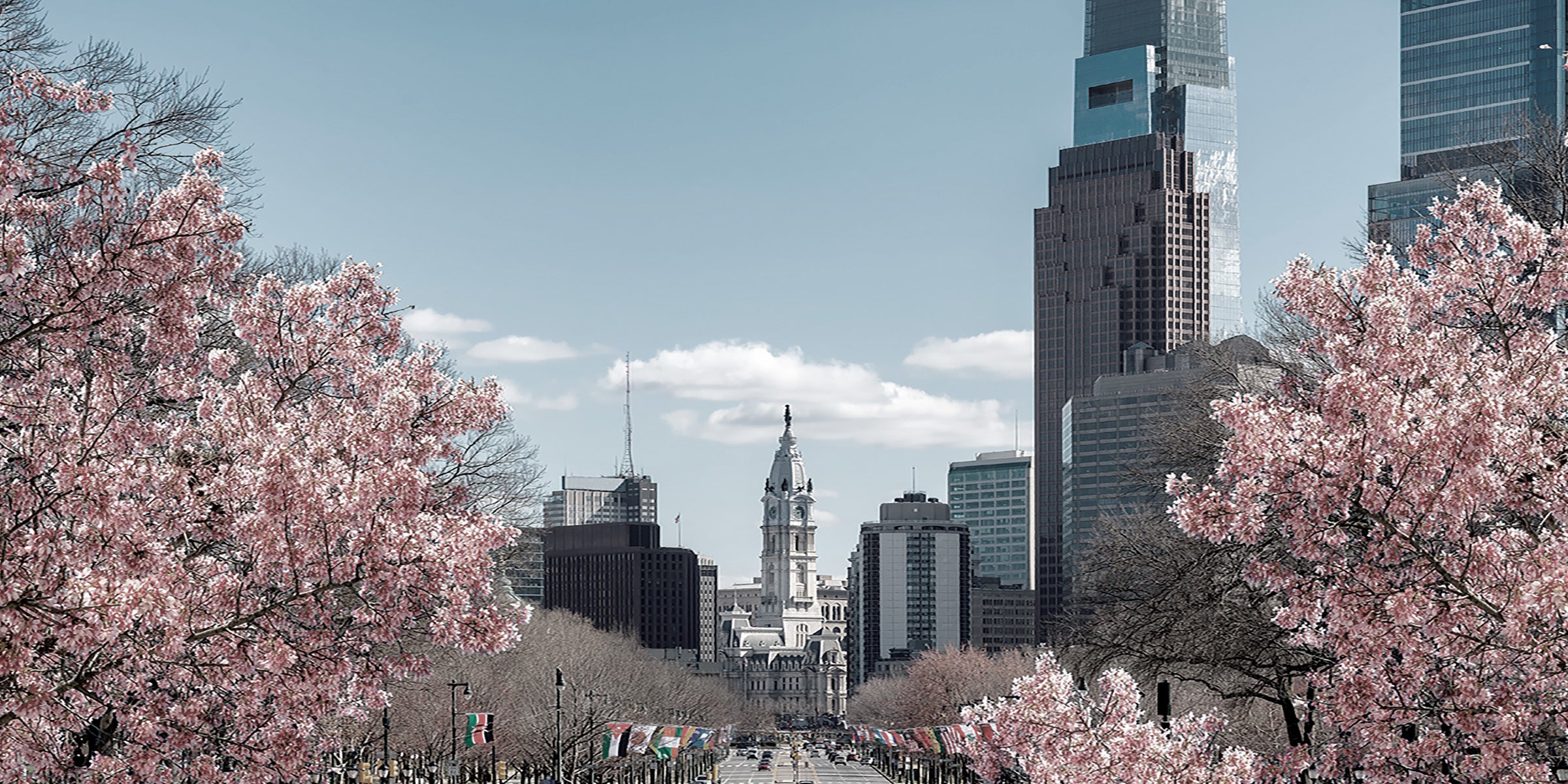 BASSA_2400X1200_02bab23c f0da 4ef2 b35e 7c21783f33db BASSA_2400X1200_02bab23c f0da 4ef2 b35e 7c21783f33db