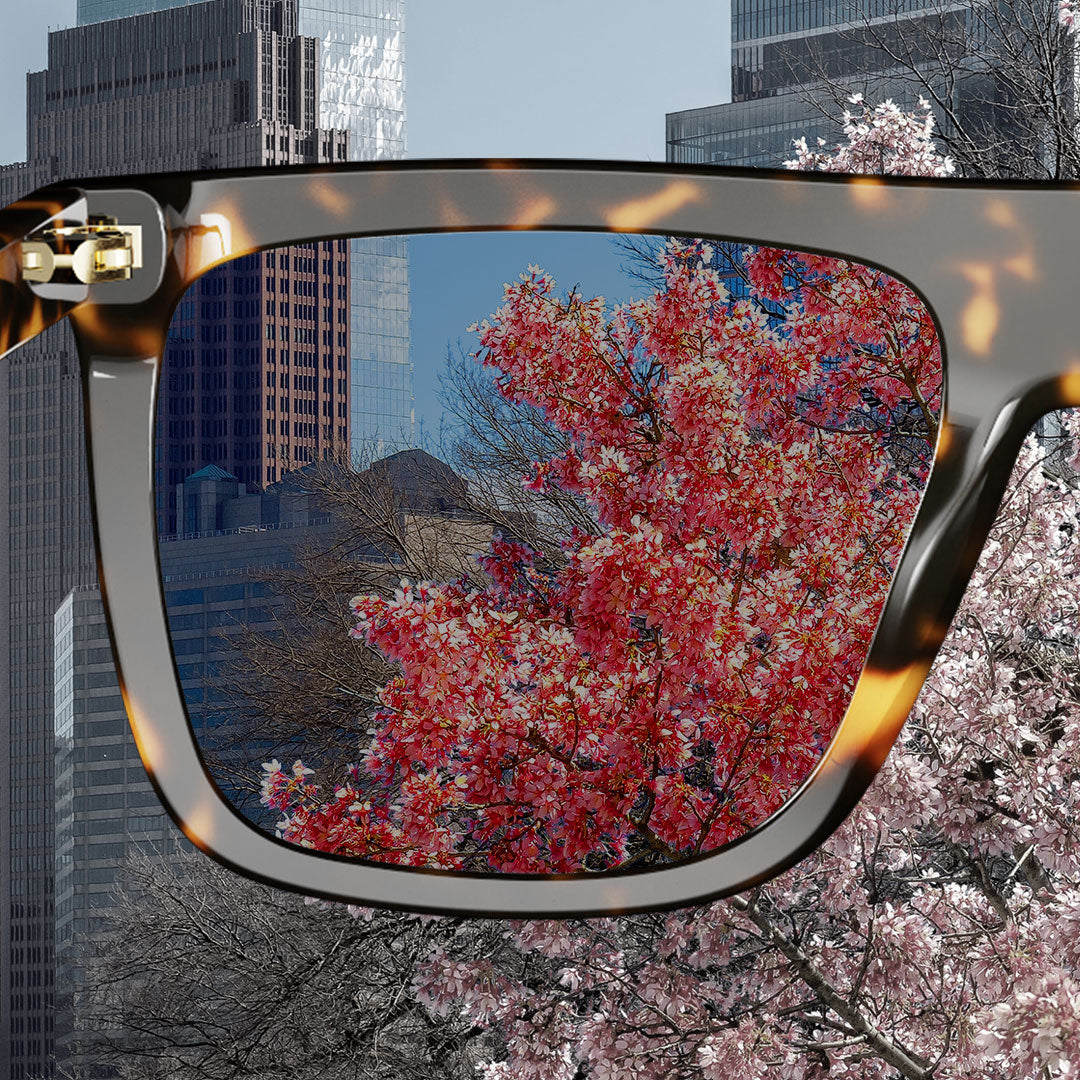 essential 1 1 essential 1 1