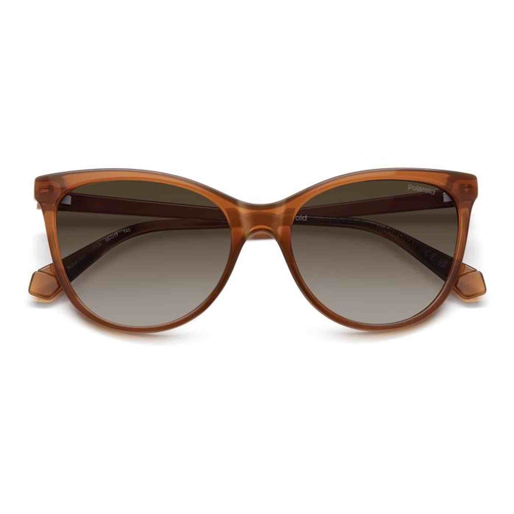 #color_OCHRE #color_OCHRE