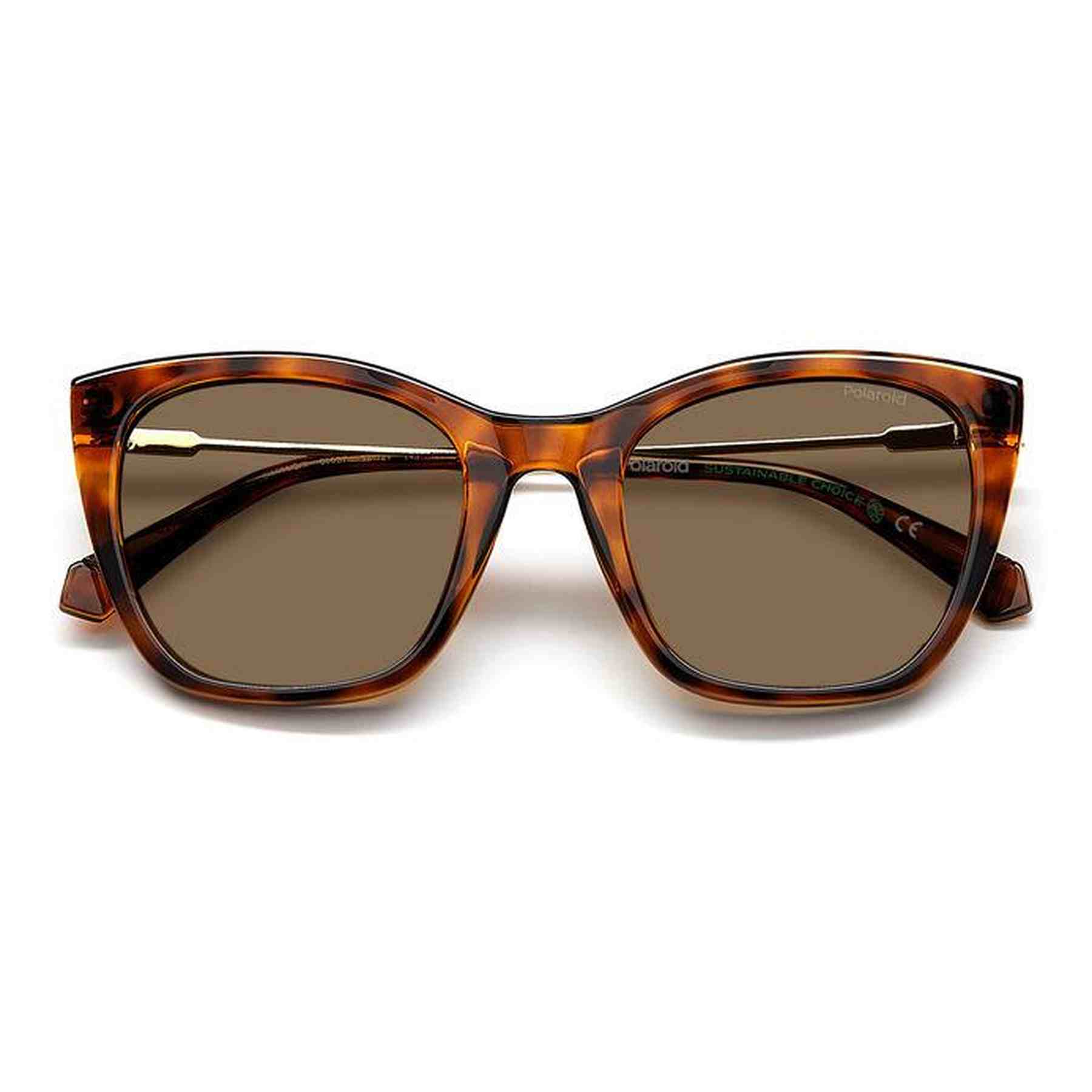 #color_HAVANA #color_HAVANA