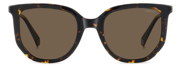 #color_HAVANA #color_HAVANA