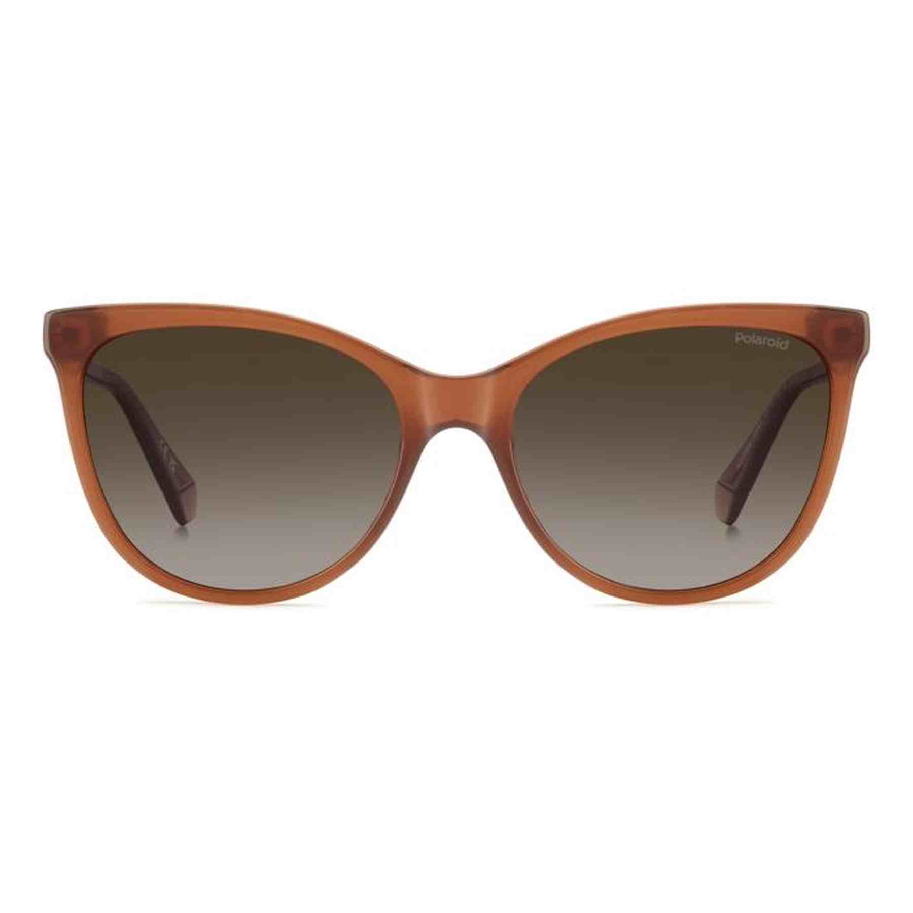 #color_OCHRE #color_OCHRE