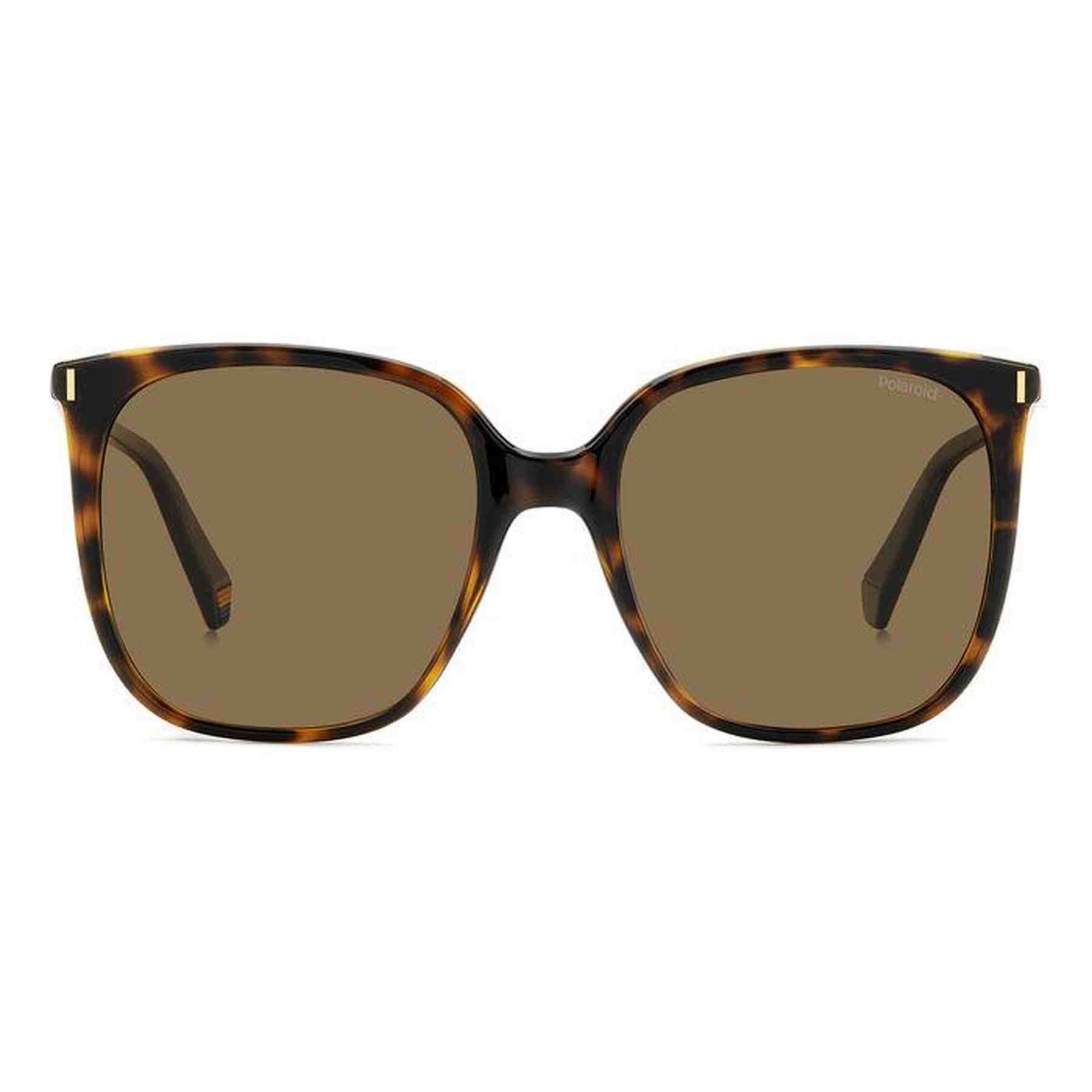 #color_HAVANA #color_HAVANA