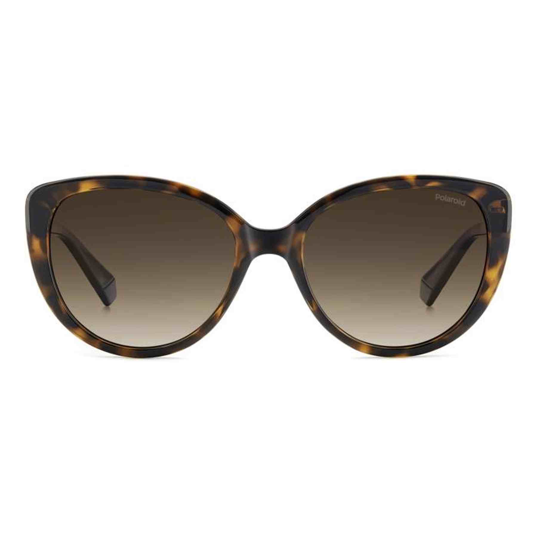 #color_HAVANA #color_HAVANA