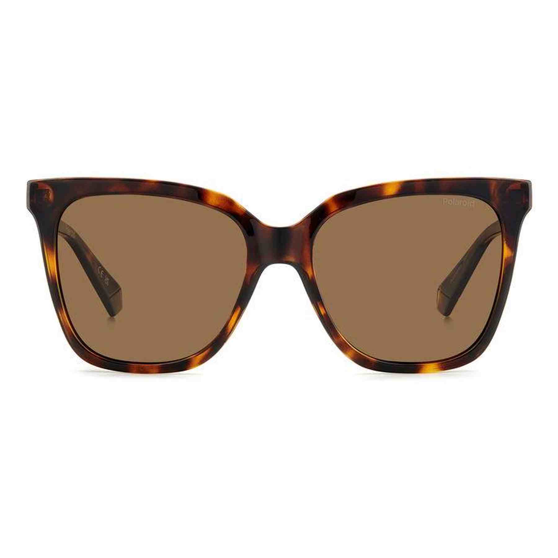 #color_HAVANA #color_HAVANA