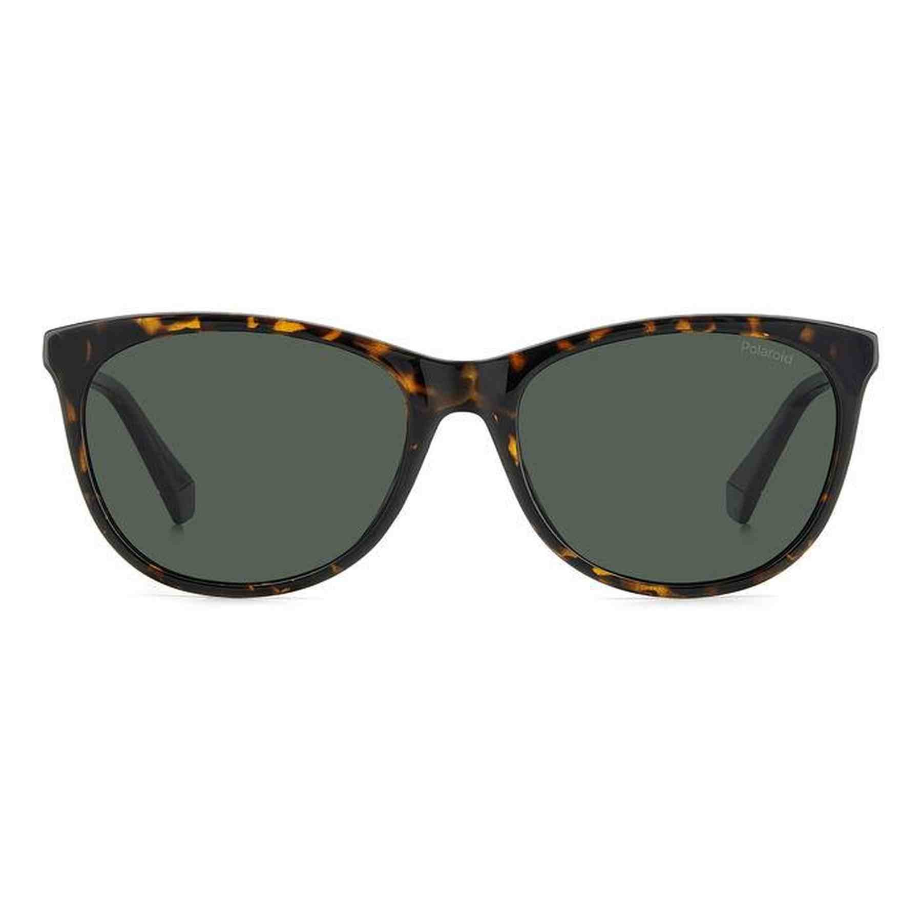 #color_HAVANA #color_HAVANA