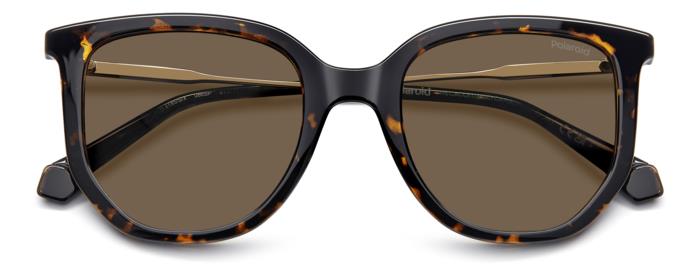 #color_HAVANA #color_HAVANA